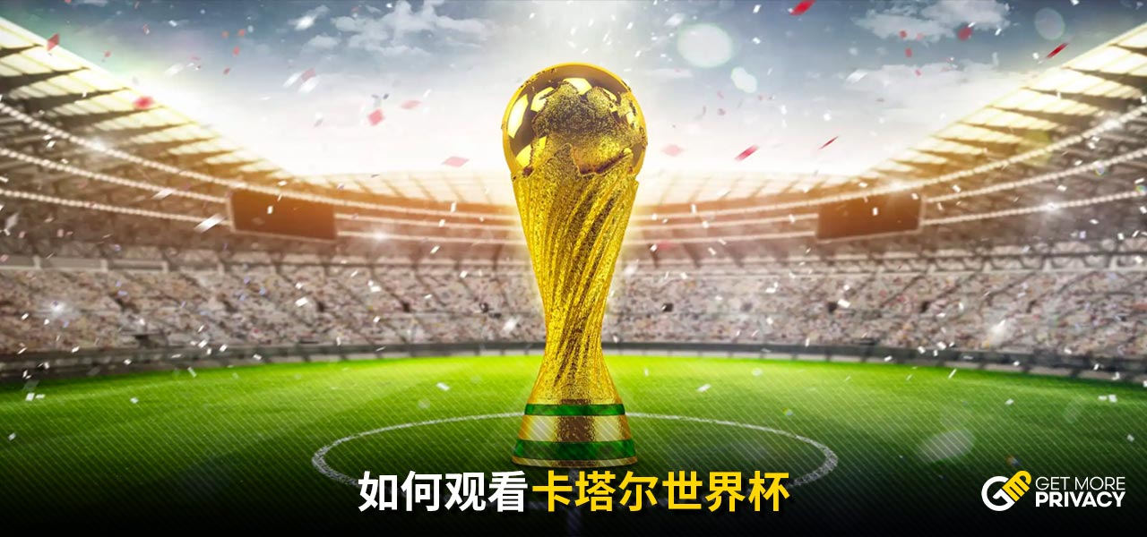 费背后的博